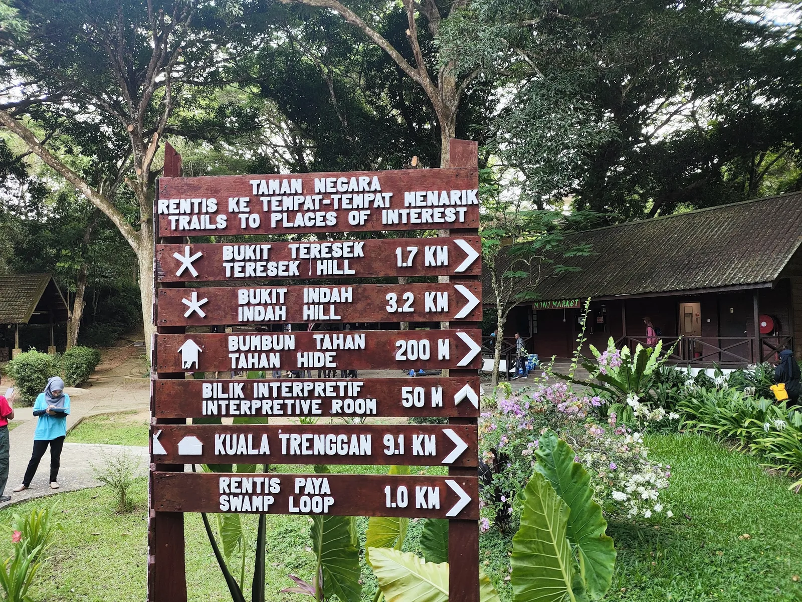 Taman Negara National Park