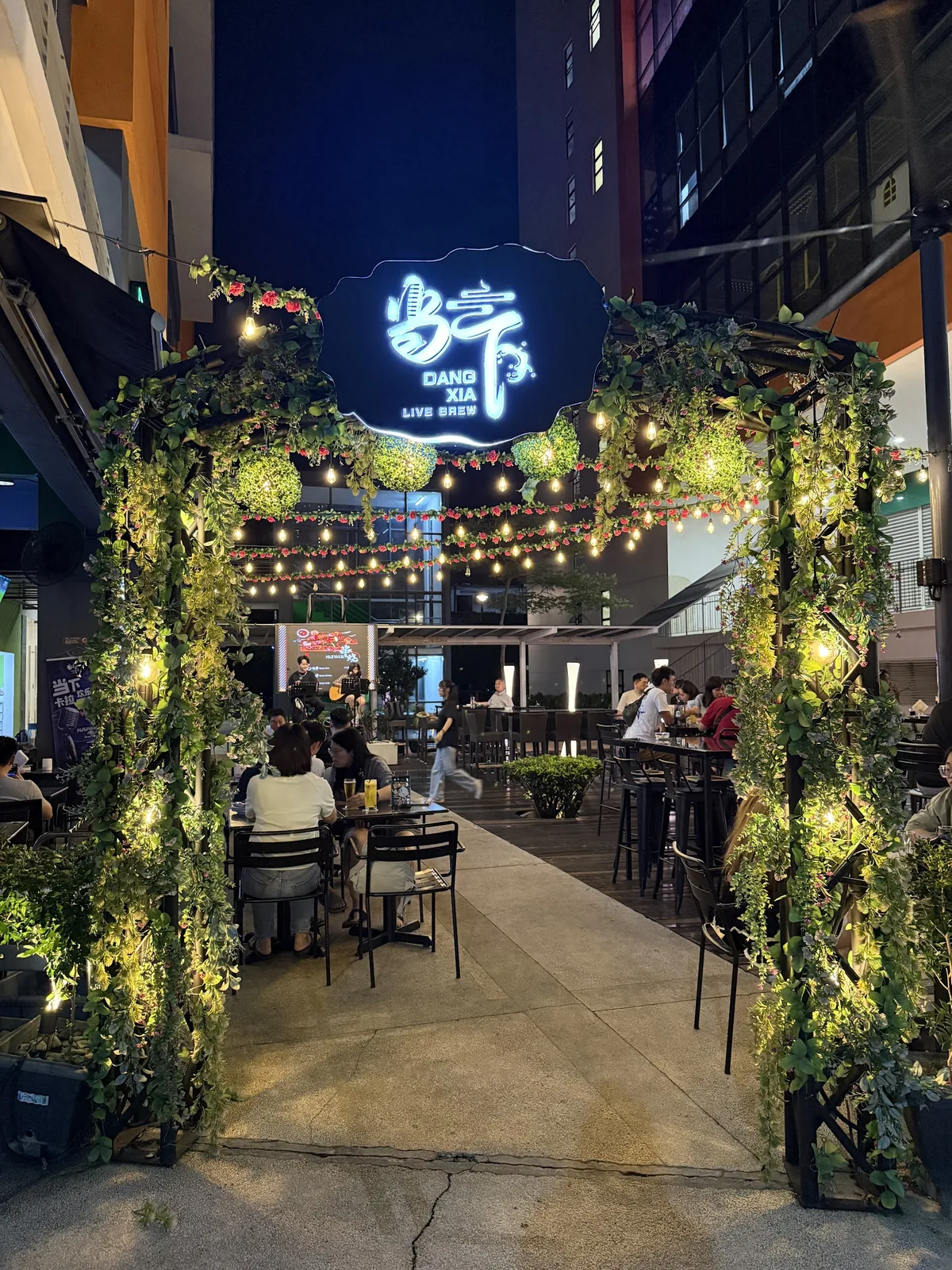 Dang Xia Live Brew