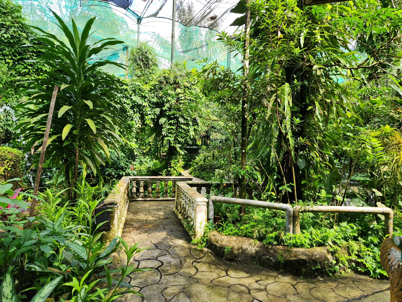 Kuala Lumpur Butterfly Park