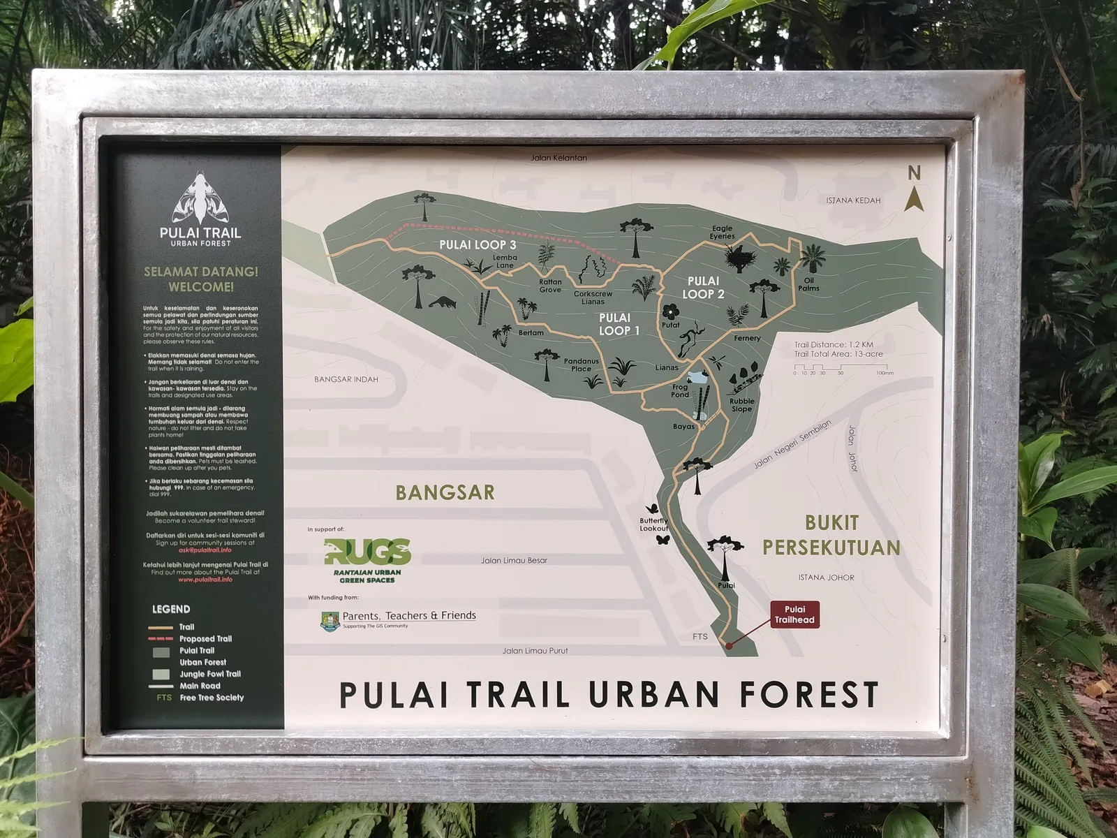 Pulai Trail